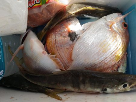 2019年7月末台風のリベンジ