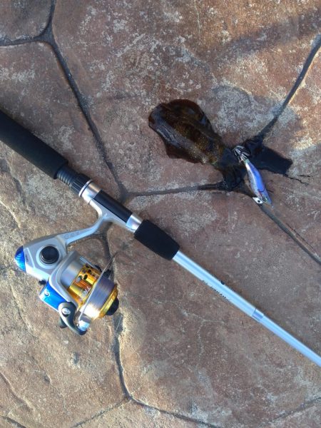 輪島マリンタウン