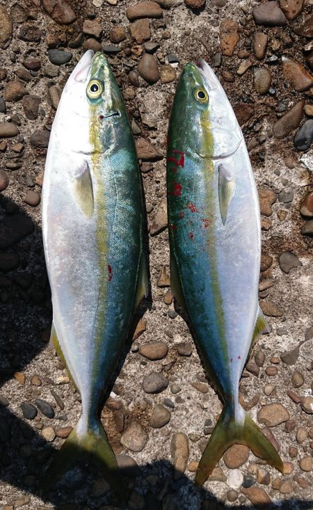 ありがとうございました！！