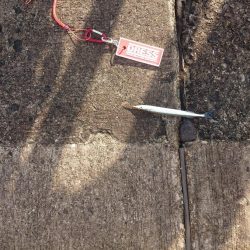 明日の大会前の最後の下見