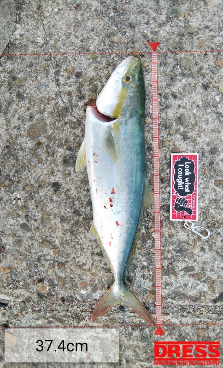 厳しい中、ツバスに救われた