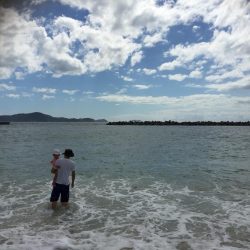 癒やされた休日