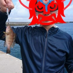 旅先で湾内短時間釣行