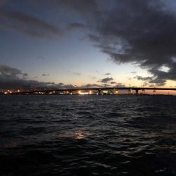 神戸空港でタチウオとツバス