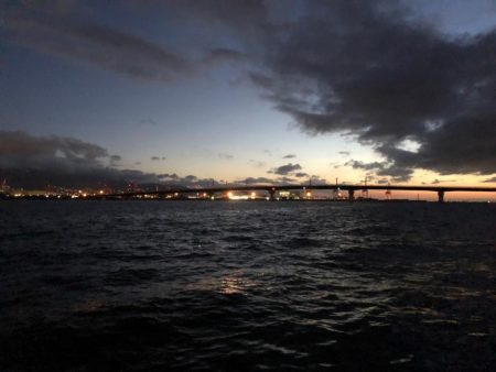 神戸空港でタチウオとツバス