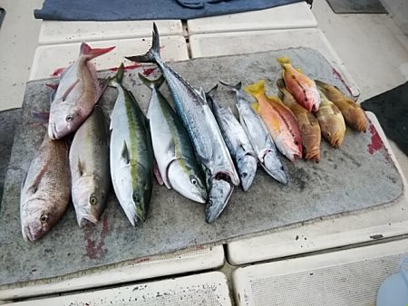 大物釣果速報！●光義丸：平戸市早福港