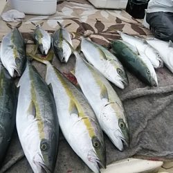 大物釣果速報！●光義丸：平戸市早福港