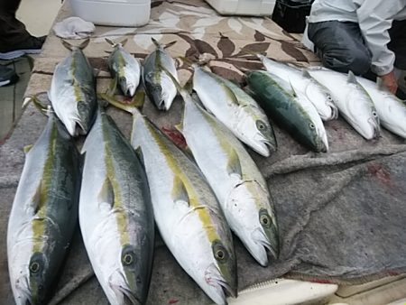 大物釣果速報！●光義丸：平戸市早福港