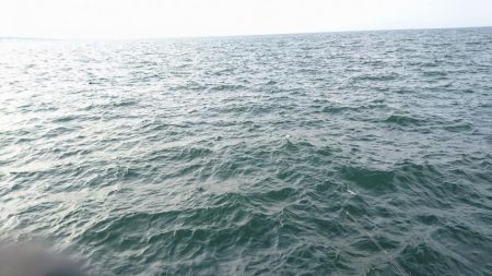 ツバスが釣れました