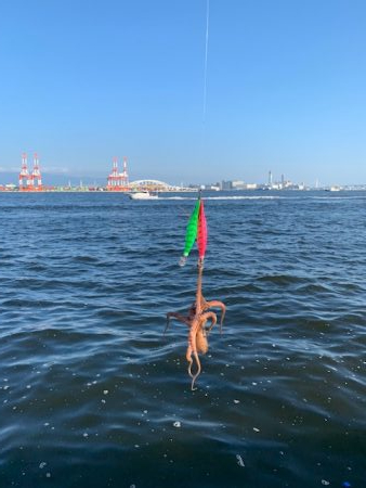 タチウオあたりはあるが