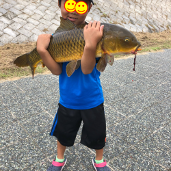 小学1年生８０ｃｍオーバーの真鯉をゲット