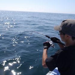 松鶴丸 釣果