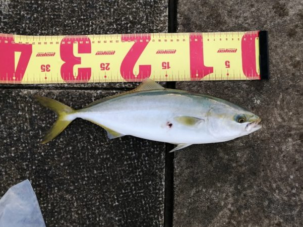 先輩が大物を！！