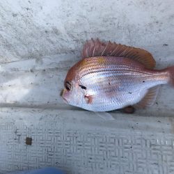 若狭湾で船釣り