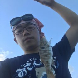 風強し、海はパラダイス