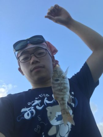 風強し、海はパラダイス