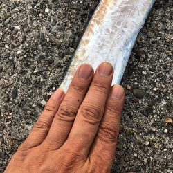 ちょっと待ってよ