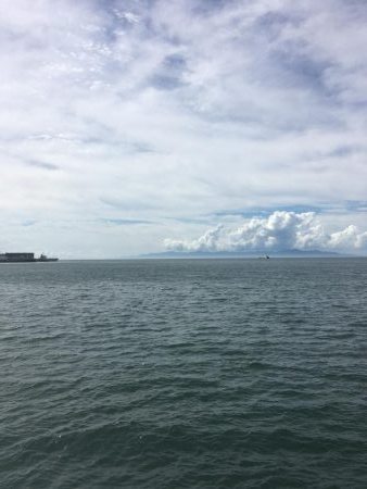 ハマチは渋い、、