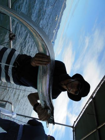 明石沖のマダコ釣り、神戸沖のタチウオ釣り、…