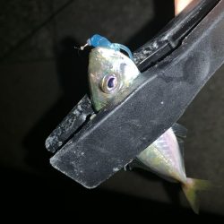 アーバンサイドアジング