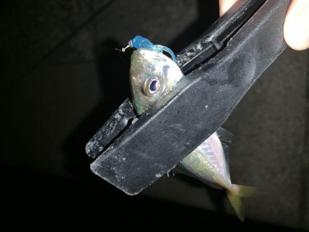 アーバンサイドアジング