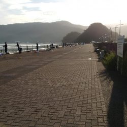 サゴシだけど…