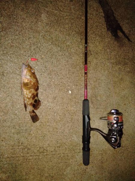 ブラクリ釣り（エギング）