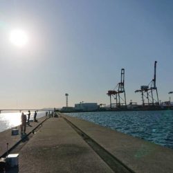 タチウオ求めて