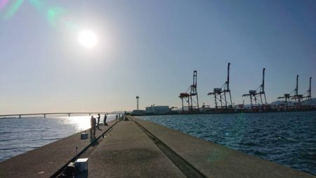 タチウオ求めて