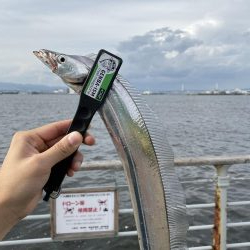 コスモスクエアにて!