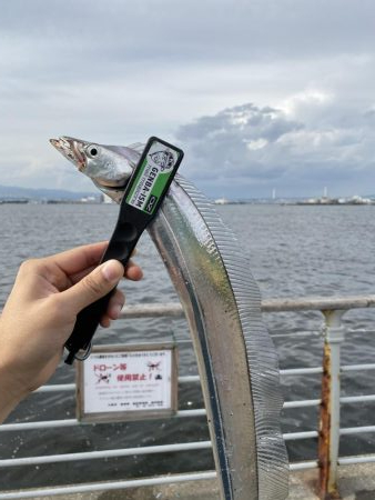 コスモスクエアにて！