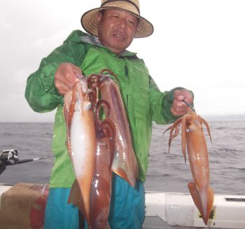 スルメイカ釣り