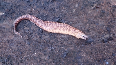 海が大荒で波でぐしょぐしょ