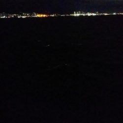 なんともな結果に