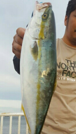 初めての場所で青物連発