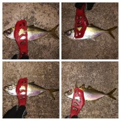 アジンガー1835〜1924