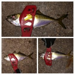 アジンガー1808〜1859