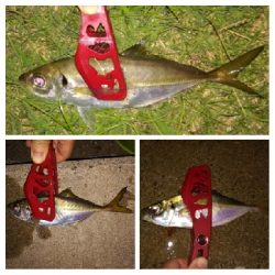 アジンガー1759〜1921