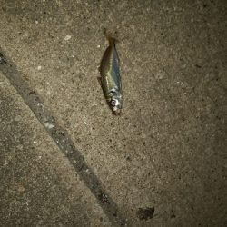 狙いと違うけど