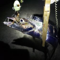 トリプルツヌケ