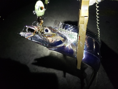 トリプルツヌケ