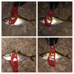 アジンガー1805〜1850