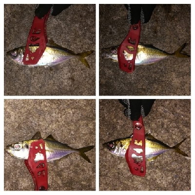 アジンガー1805〜1850