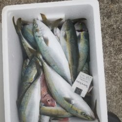 明石タイラバとジギング