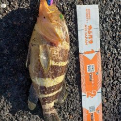 今シーズン初舞鶴！