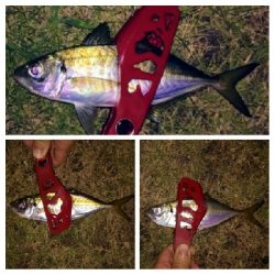 アジンガー1810〜1857 1955〜2022