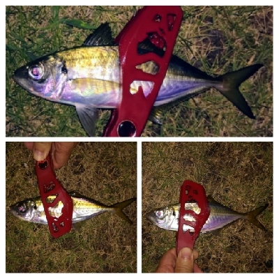 アジンガー1810〜1857 1955〜2022