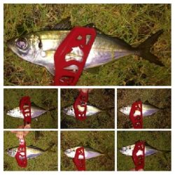 アジンガー1905〜2035