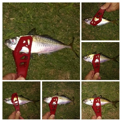 アジンガー1905〜2035