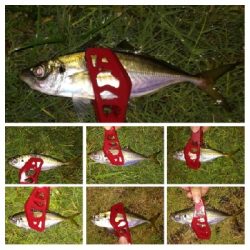 アジンガー1835〜2015